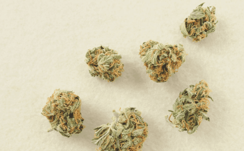 1628244660960.png 1628244660960.png