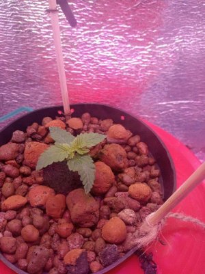 index3.jpg index3.jpg