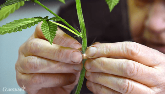 1629286664925.png 1629286664925.png