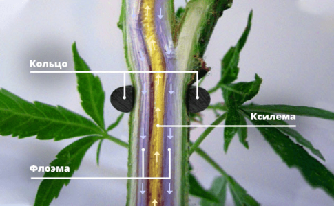 1629286694039.png 1629286694039.png