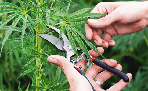 1629289876789.png 1629289876789.png