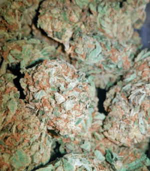 1630591200324.png 1630591200324.png