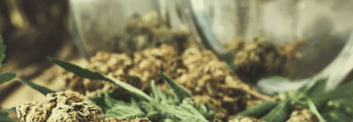 1630931927698.png 1630931927698.png