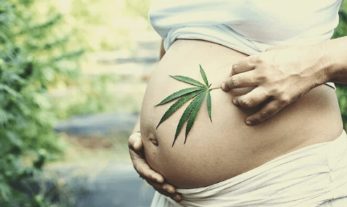 1631875356440.png 1631875356440.png