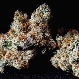 slurricane.jpg slurricane.jpg