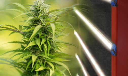 1633271730082.png 1633271730082.png