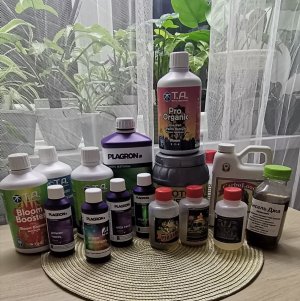 IMG_20211005_084352.jpg IMG_20211005_084352.jpg