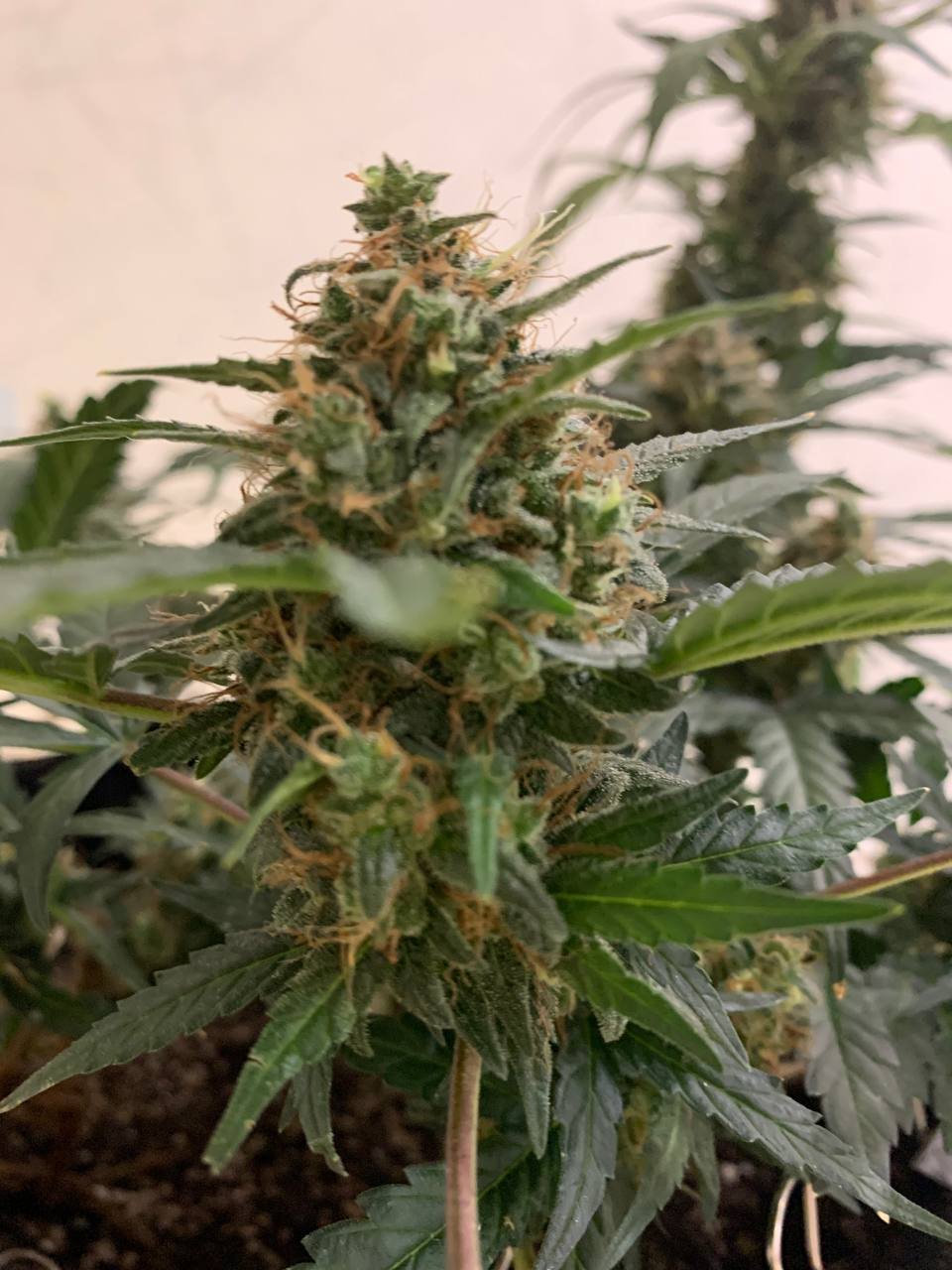 photo_2023-01-12_20-33-14 (2).jpg