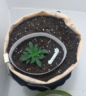 20230113_124341.jpg 20230113_124341.jpg