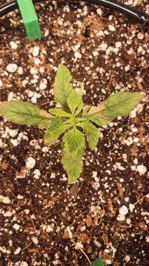 20230109_212709.jpg 20230109_212709.jpg