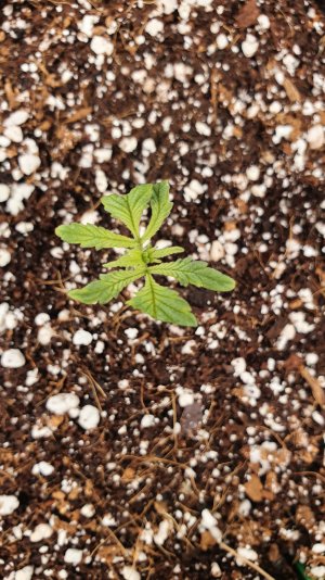 20230109_214051.jpg 20230109_214051.jpg