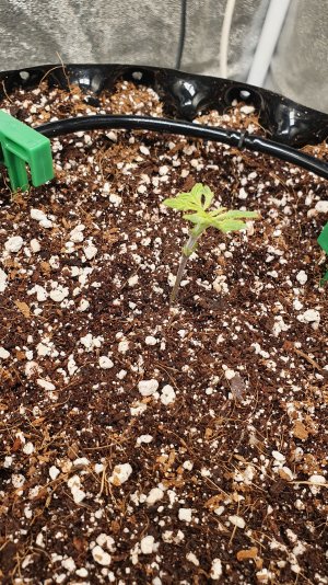 20230109_214056.jpg 20230109_214056.jpg