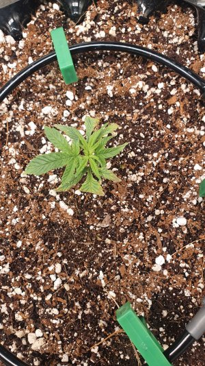 20230115_184216.jpg 20230115_184216.jpg