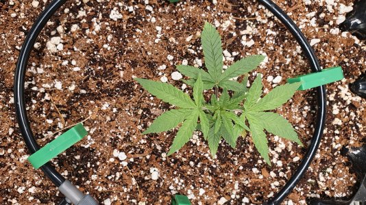 20230119_100105.jpg 20230119_100105.jpg