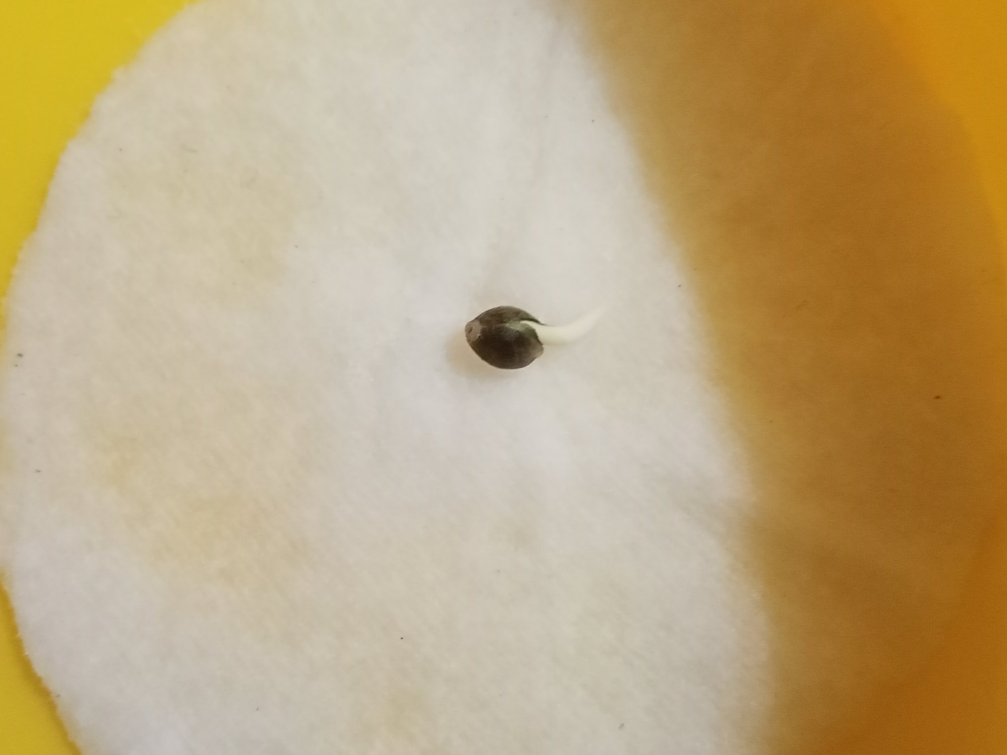 IMG20230119192238.jpg IMG20230119192238.jpg