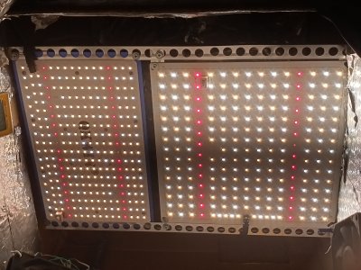 IMG20230119121128.jpg IMG20230119121128.jpg