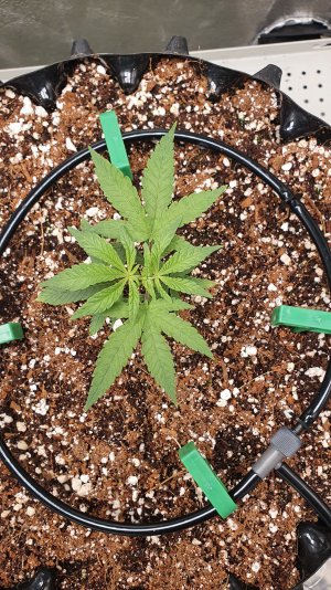 20230120_202149.jpg 20230120_202149.jpg