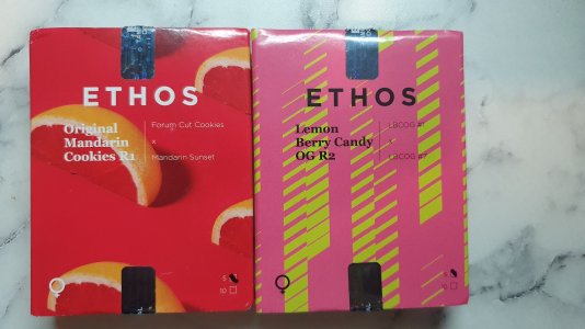 20230120_202452.jpg 20230120_202452.jpg