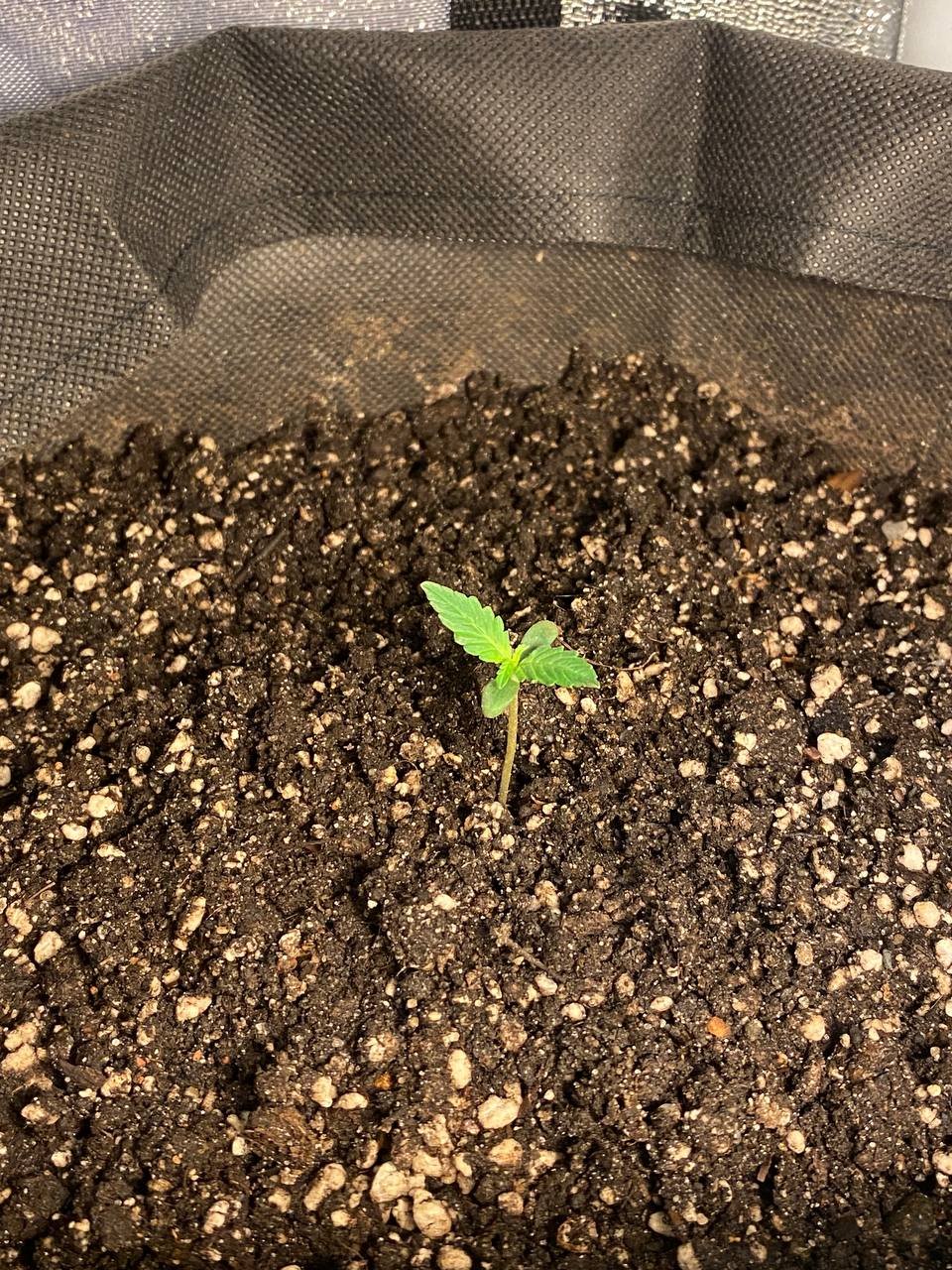 07839810-2C76-42DD-8533-720153B3A603.jpeg 07839810-2C76-42DD-8533-720153B3A603.jpeg