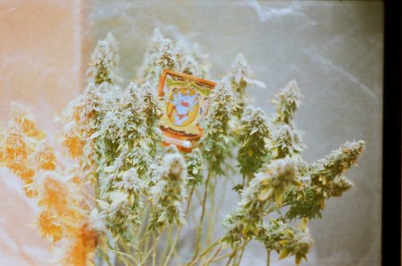 45770001.JPG 45770001.JPG