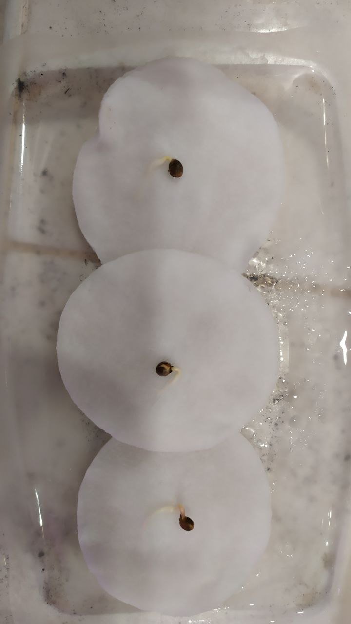 photo_2023-01-21_20-06-43 (3).jpg photo_2023-01-21_20-06-43 (3).jpg