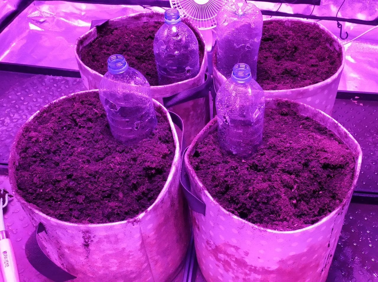 photo_2023-01-21_20-06-42.jpg photo_2023-01-21_20-06-42.jpg