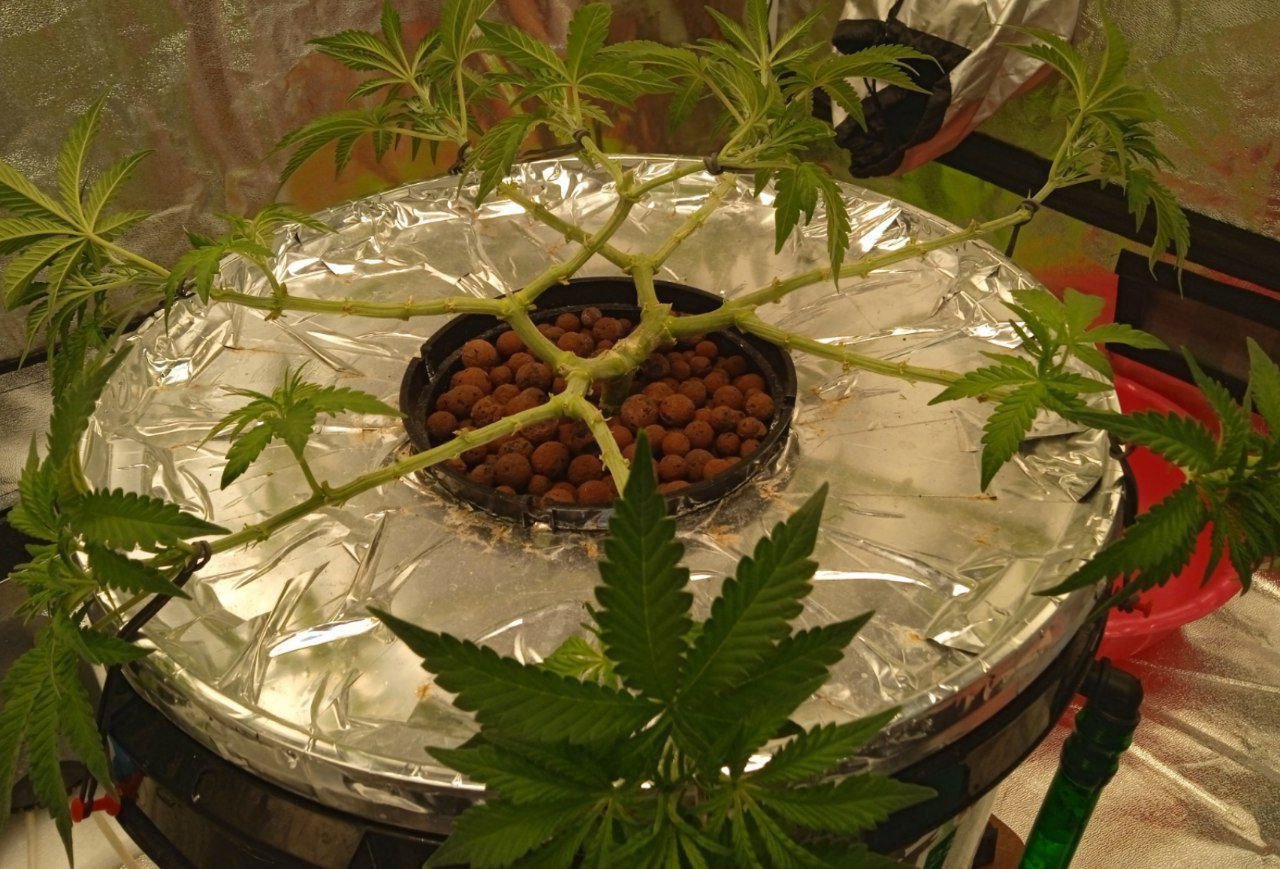 IMG_20230117_140435_605.jpg IMG_20230117_140435_605.jpg