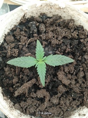 IMG_20230124_215408.jpg IMG_20230124_215408.jpg