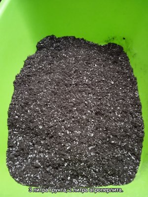 IMG_20230125_124701.jpg IMG_20230125_124701.jpg