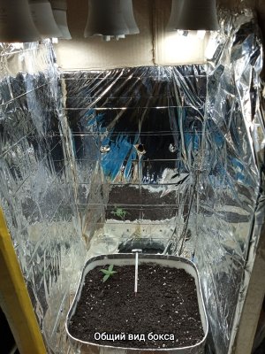 IMG_20230125_124857.jpg IMG_20230125_124857.jpg