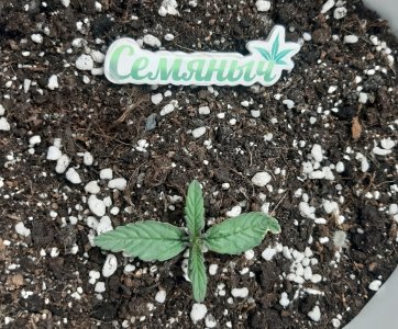 20230128_180943.jpg 20230128_180943.jpg