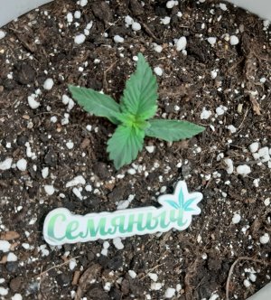 20230128_182447.jpg 20230128_182447.jpg