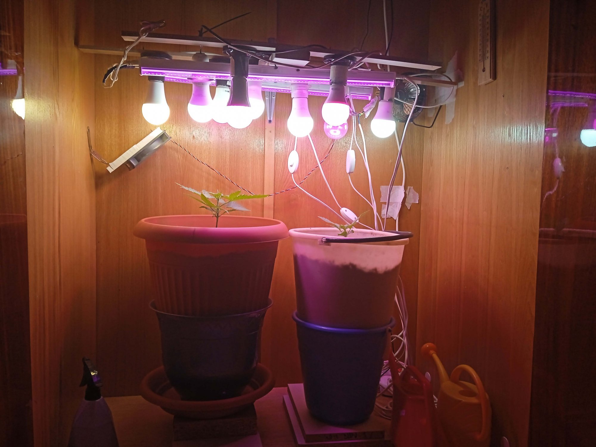 IMG_20230202_183639.jpg IMG_20230202_183639.jpg