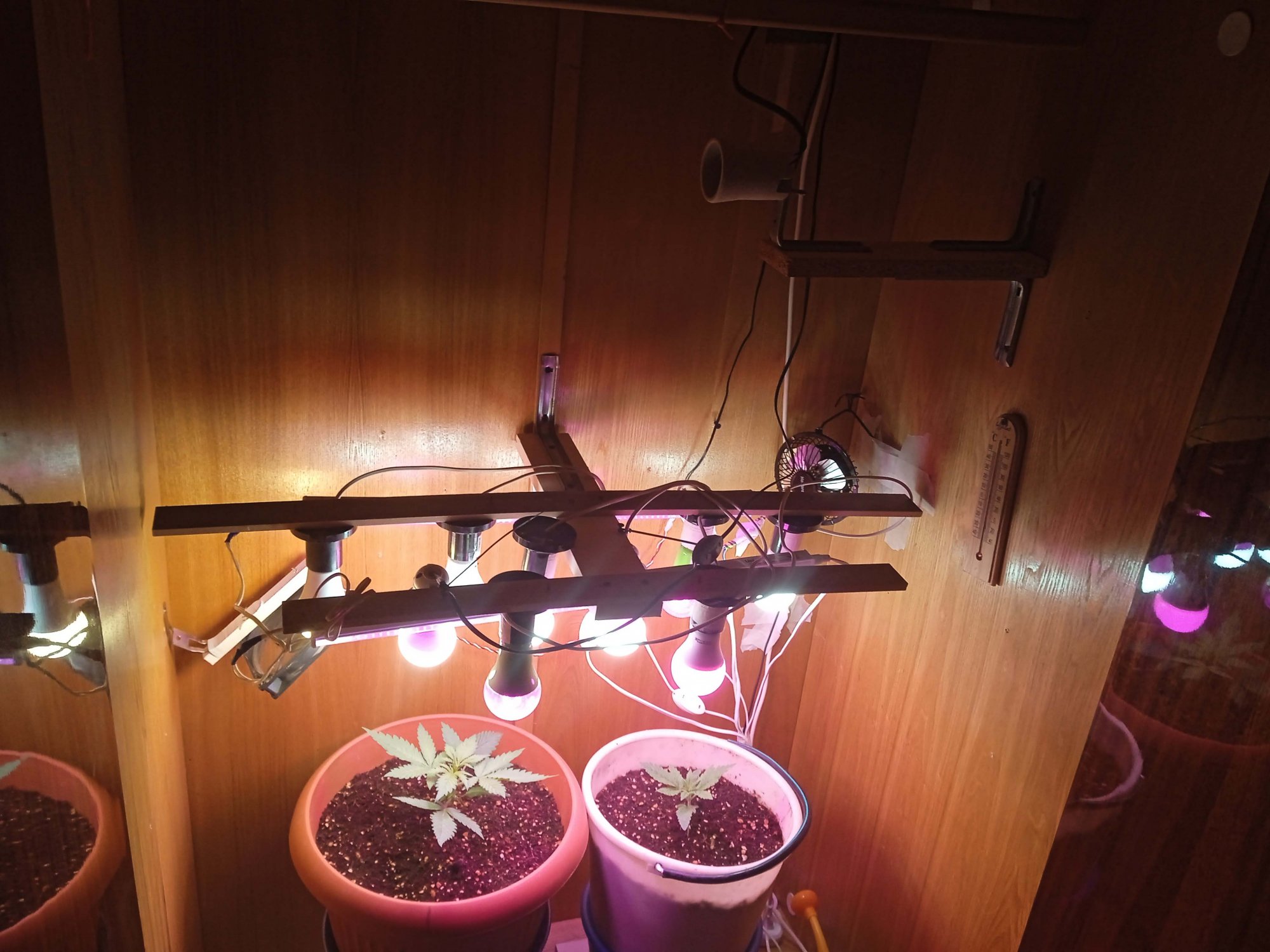 IMG_20230202_183703.jpg IMG_20230202_183703.jpg