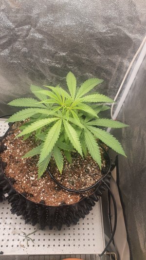 20230203_233145.jpg 20230203_233145.jpg