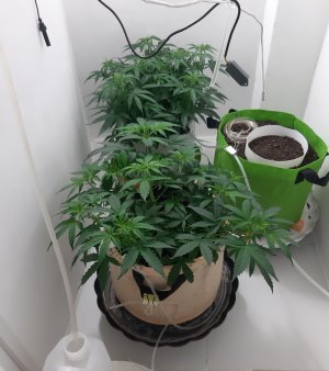 20230204_142826.jpg 20230204_142826.jpg