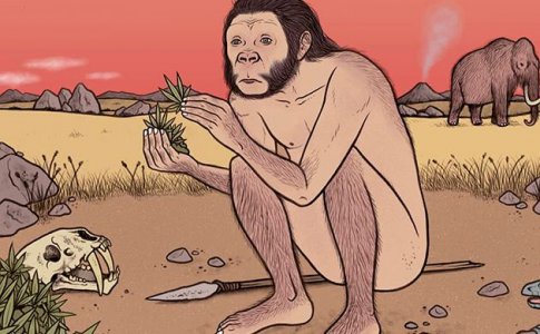 5 самых распространенных проблем конопли во время цветения 5 самых распространенных проблем конопли во время цветения