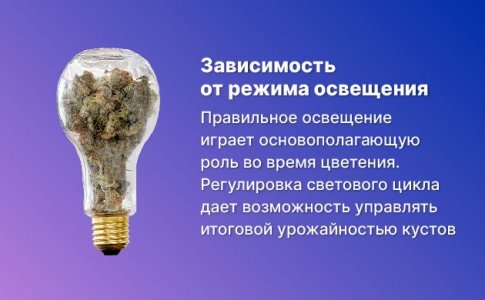 3-Nepravilnaya nastrojka osveshcheniya-100.jpg 3-Nepravilnaya nastrojka osveshcheniya-100.jpg