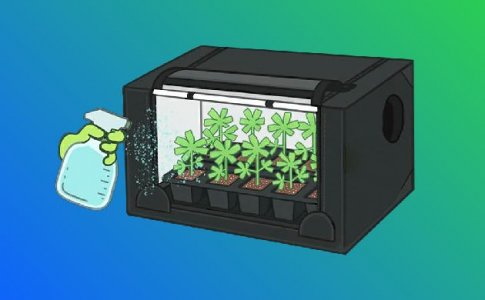 Субстрат для рассады конопли Субстрат для рассады конопли