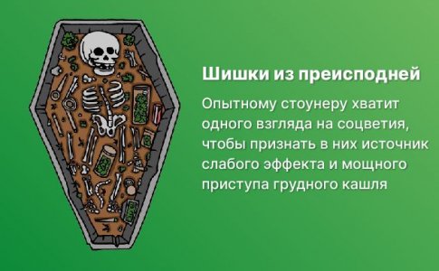 Визуальный осмотр