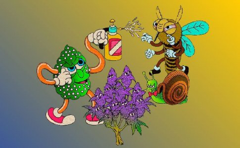 Зачем промывать соцветия Зачем промывать соцветия