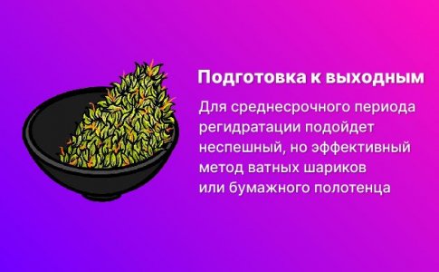 Среднесрочный период (несколько дней) Среднесрочный период (несколько дней)