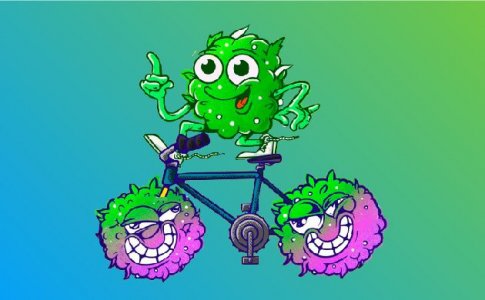 Методы сокращения общего периода выращивания Методы сокращения общего периода выращивания