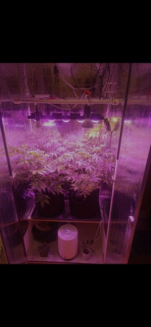 Screenshot_2023-02-07-21-51-15-583_com.miui.gallery.jpg Screenshot_2023-02-07-21-51-15-583_com.miui.gallery.jpg