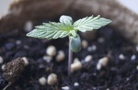 DSC04322.jpeg DSC04322.jpeg