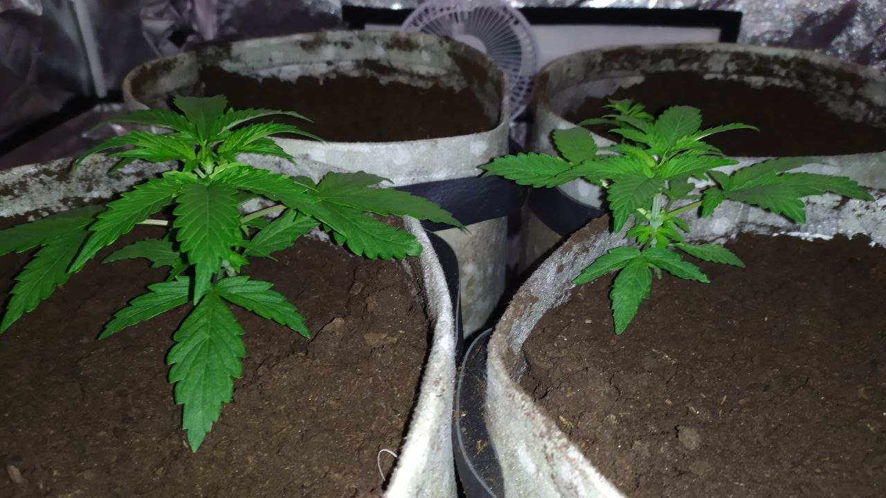 photo_2023-02-08_16-10-58.jpg photo_2023-02-08_16-10-58.jpg