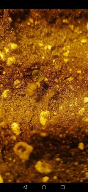 Screenshot_20230211_100310_com.android.gallery3d.jpg Screenshot_20230211_100310_com.android.gallery3d.jpg