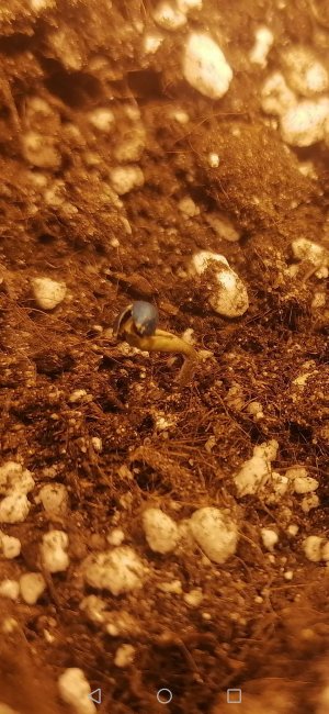 Screenshot_20230211_100351_com.android.gallery3d.jpg Screenshot_20230211_100351_com.android.gallery3d.jpg