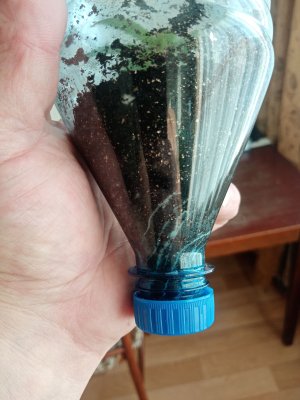 IMG_20230212_105410.jpg IMG_20230212_105410.jpg