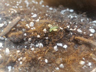 IMG_20230212_161600.jpg IMG_20230212_161600.jpg